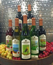 Adirondack Winery Newest Labeled Bottles on Barrel with Fruit